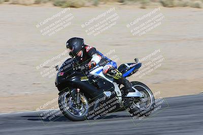 media/Feb-04-2024-SoCal Trackdays (Sun) [[91d6515b1d]]/4-Bowl Backside (11am)/